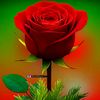 user91967881035603