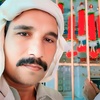 ghulam.abbas5012