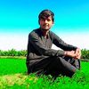 rehman.ali2363