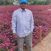 hi.ng.d