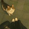 ray_mah03