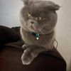 mr.bob2805
