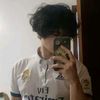 leviet_link