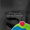 shinwari.shinwari1