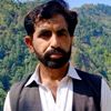 jhanzab964