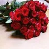 user9275221350613