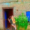 purnakalabhattra1