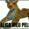 alisameupelo058
