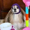 layla_undergroud
