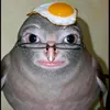 felipi520