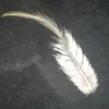 z2759610188225