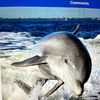 deborahdurkee5