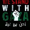 fady.hjazi