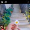 user87308188401514