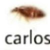 camaleonixos