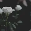 person.109769
