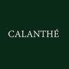 calanthe.studio