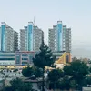 yasin.safi10