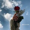 basmalaa.saed