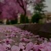 benaskeur_hadil