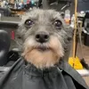 ladiesmanfrfr0
