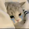 tranbanhbeooo2
