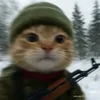 user_37934
