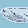 bittenbyawhale