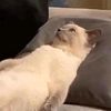 h_awvix_