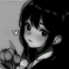 trng_tran313