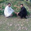 mukhtar.ahmad6691