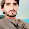 wazeer.ali4320