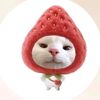 yoonyoon84227