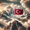 yigit8533