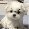 ist_hlamw