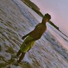 ale.hson