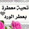 hadeermohmmey857