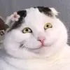 phucphuc1234567