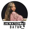 ada_lkwtsr