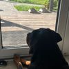 listopad_lera