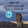 walid.lion06