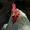 lalulalala411