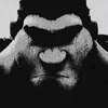ben_333254