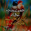 user9725618254123