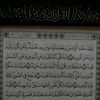 mahamed2580741