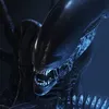 alien_guy77