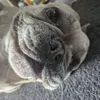 warrenpreston29
