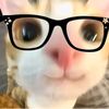 yoniy175_