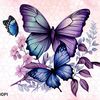 lanie2181