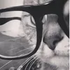 mrspinosaursofficial